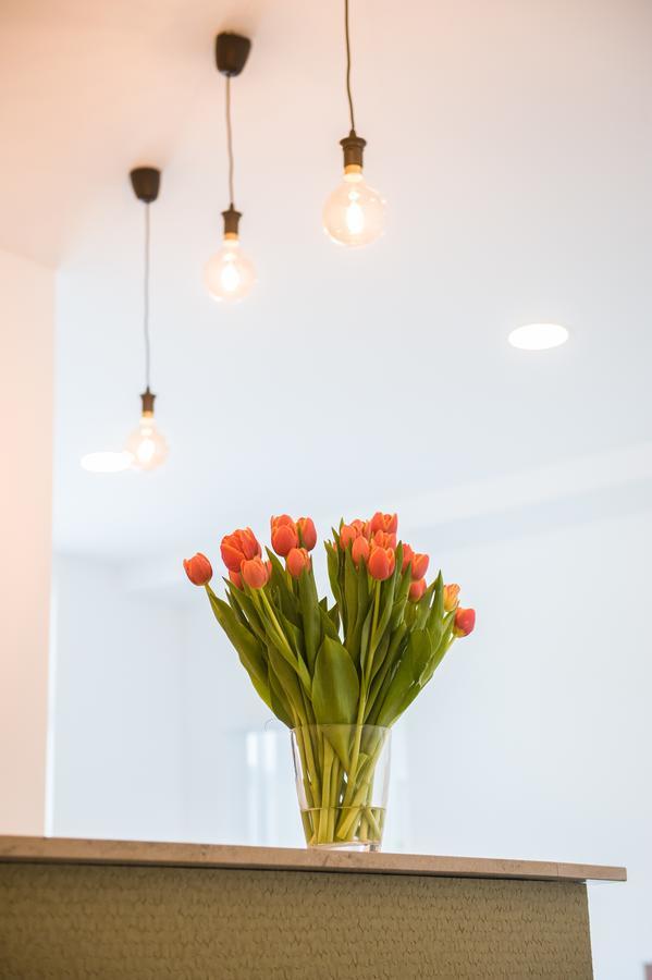 K-Apart Hotel & Boardinghouse Hürth Екстериор снимка